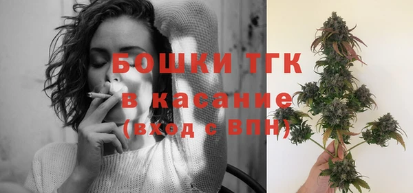 стафф Вяземский